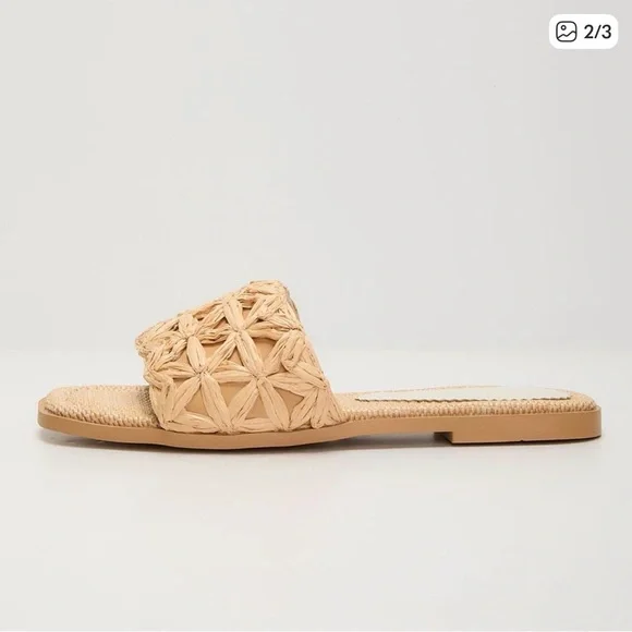 Vici | Selenah Woven Raffia Flat Sandals - Picture 2 of 6